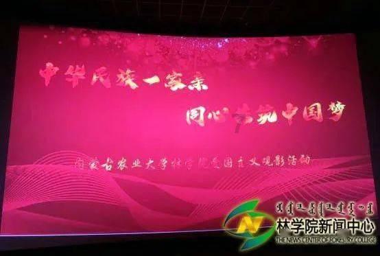 新春走基层|备年货 待佳节